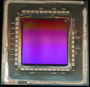 Vega 3 - 54-core die.  Truly massive die.  Software though allows workaround for many hardware defects.